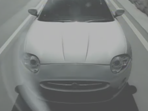 MOMENTUM JAGUAR